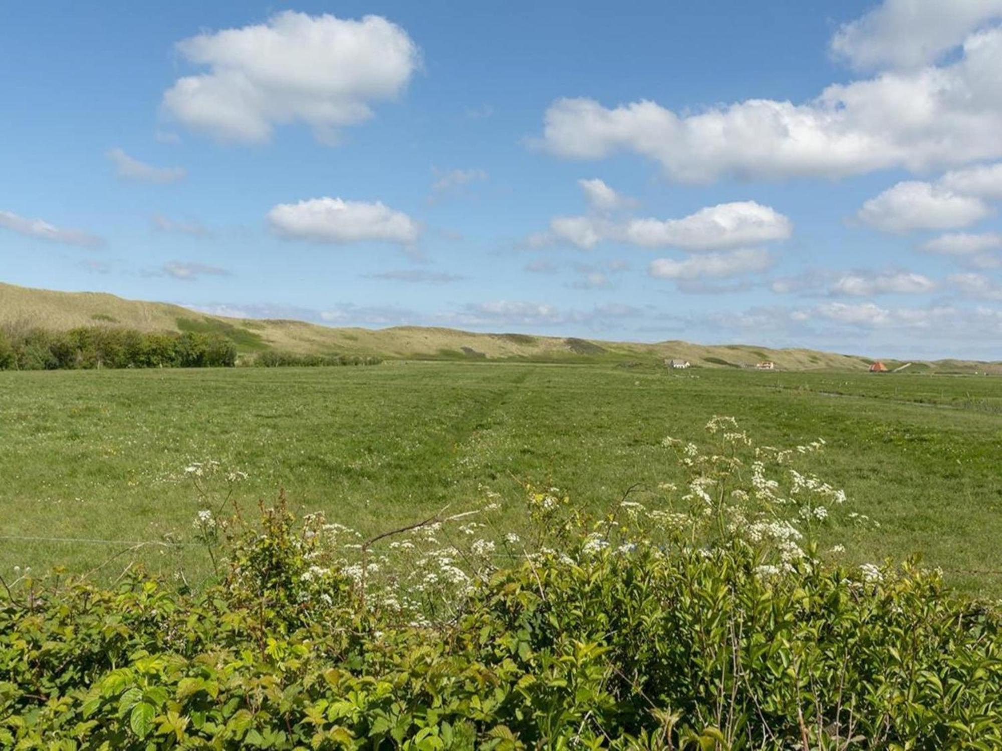 Gorgeous Holiday Home With Patio Callantsoog Eksteriør bilde
